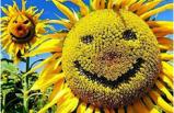 ����� ��������� ������� �� ������ ������������� �������!