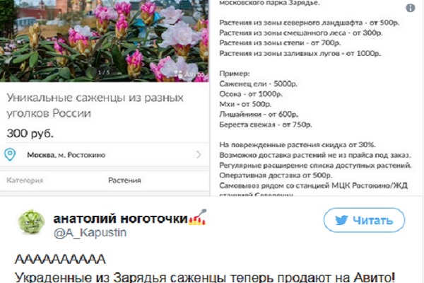 Магазин Редких Растений В Москве