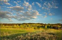 ���� tula.ru