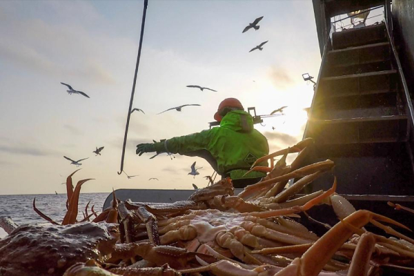 ��������� �������� �� ��� ������������ ����� ���������� ������ �� 100 ��� �����