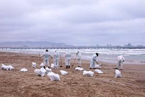 ��������������� � ������� ��������� �� ������� � ������������ ������ �����