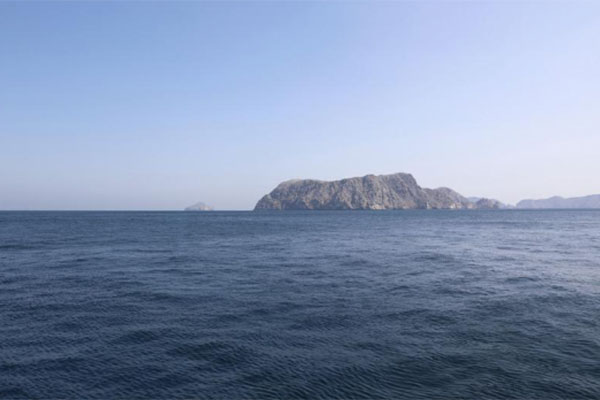 ���������� ����� ���. ����� ������ ������� ������� ���������� �������