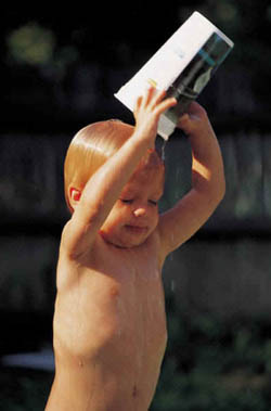 ������� ��������� - ������, ������ � ����.